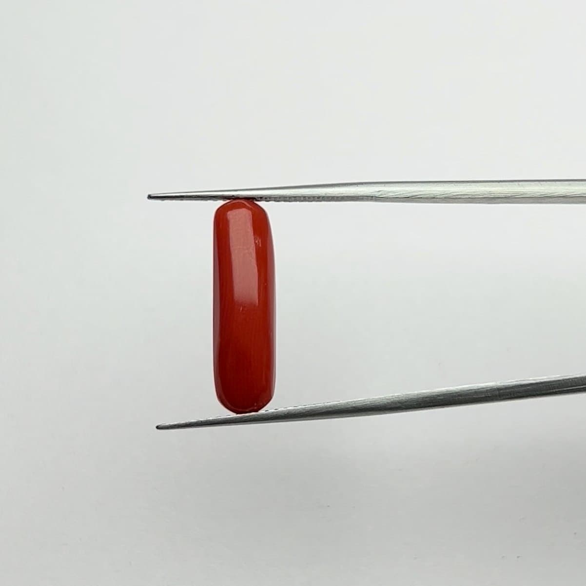 Red Coral | 5.00 Ratti