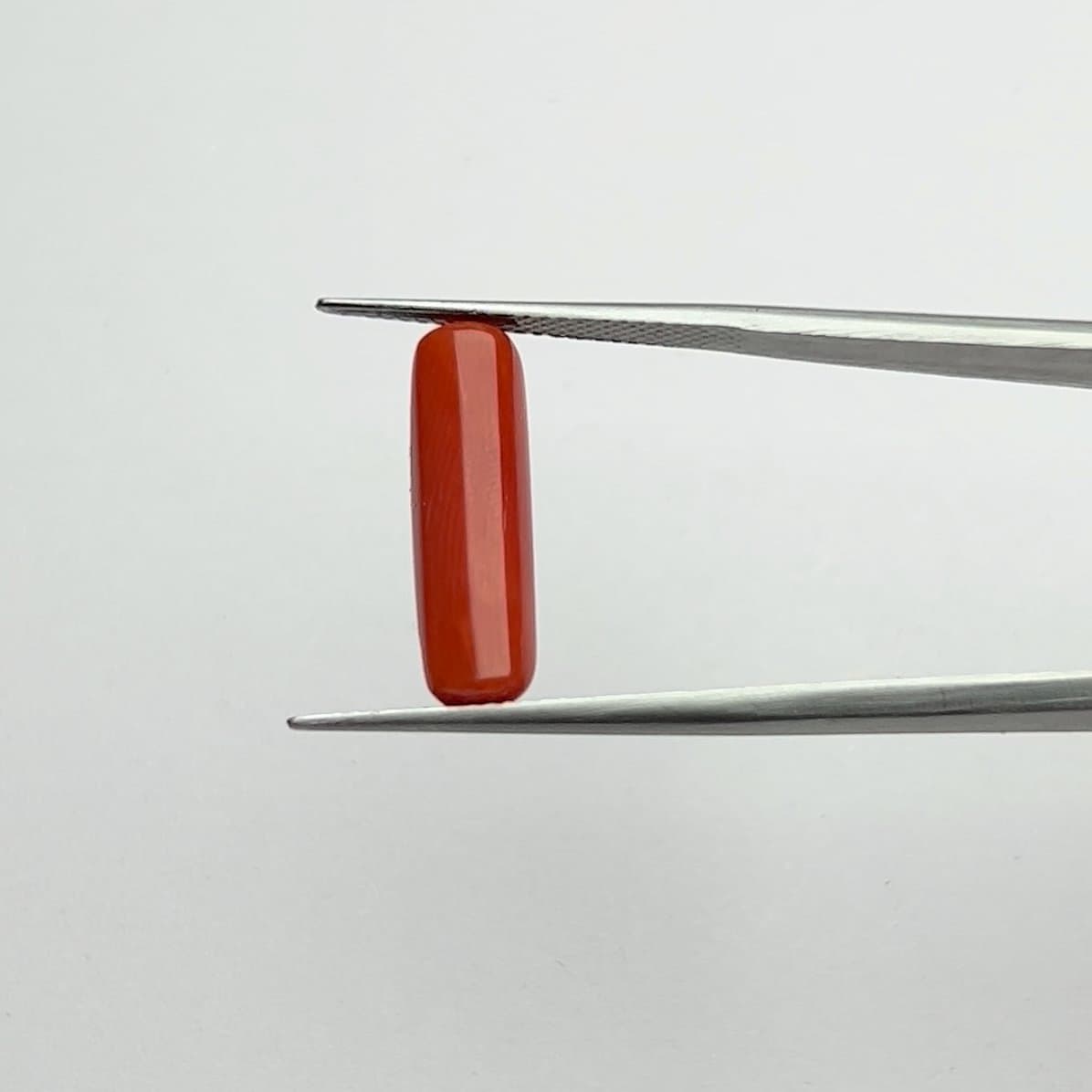 Red Coral | 5.25 Ratti
