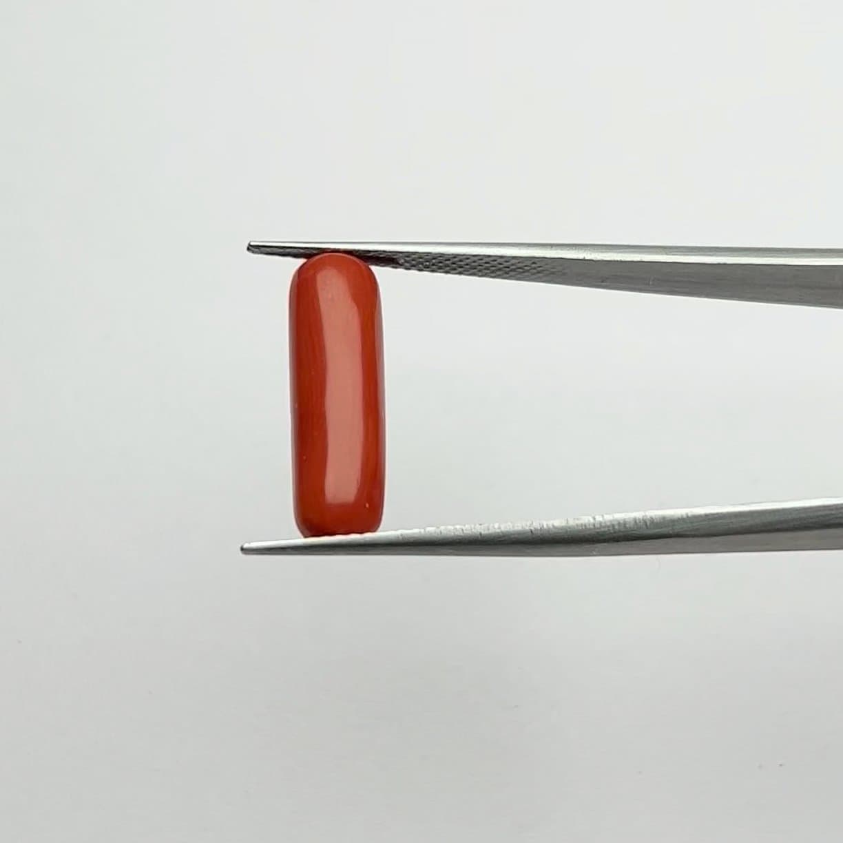 Red Coral | 5.50 Ratti