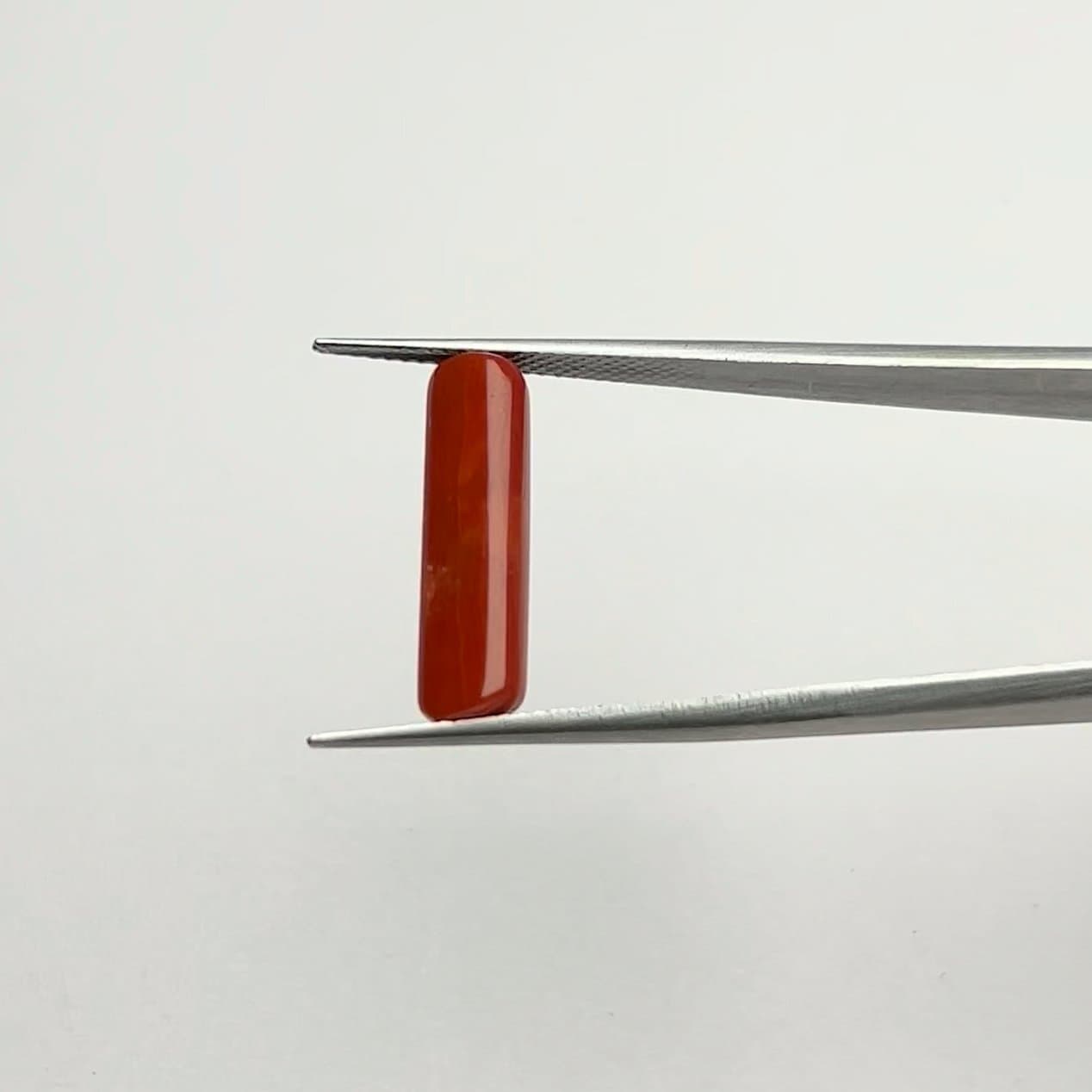 Red Coral | 6.00 Ratti