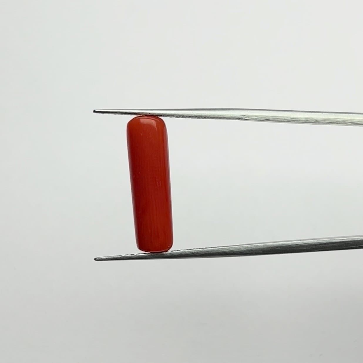 Red Coral | 5.50 Ratti
