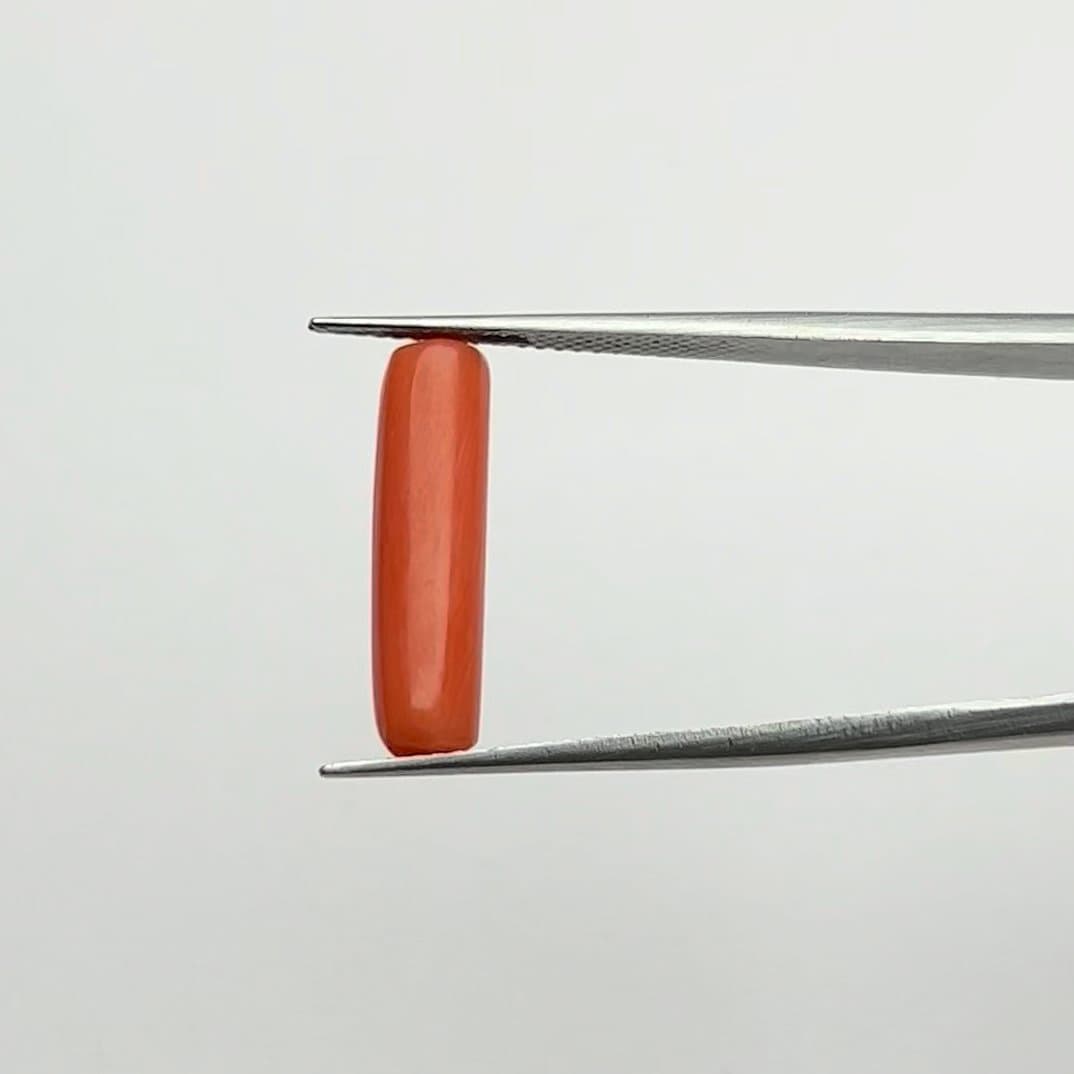 Red Coral | 5.00 Ratti