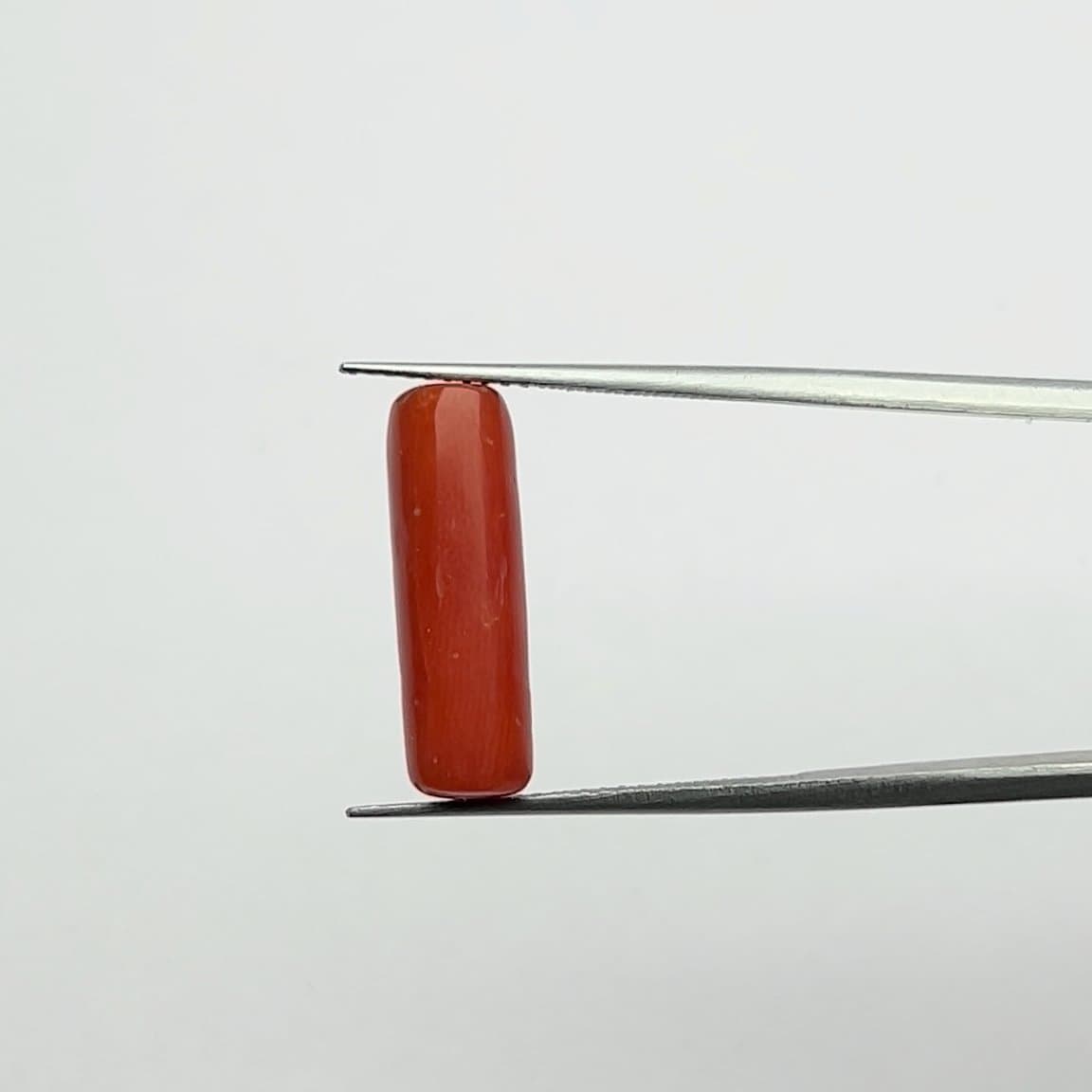 Red Coral | 6.25 Ratti