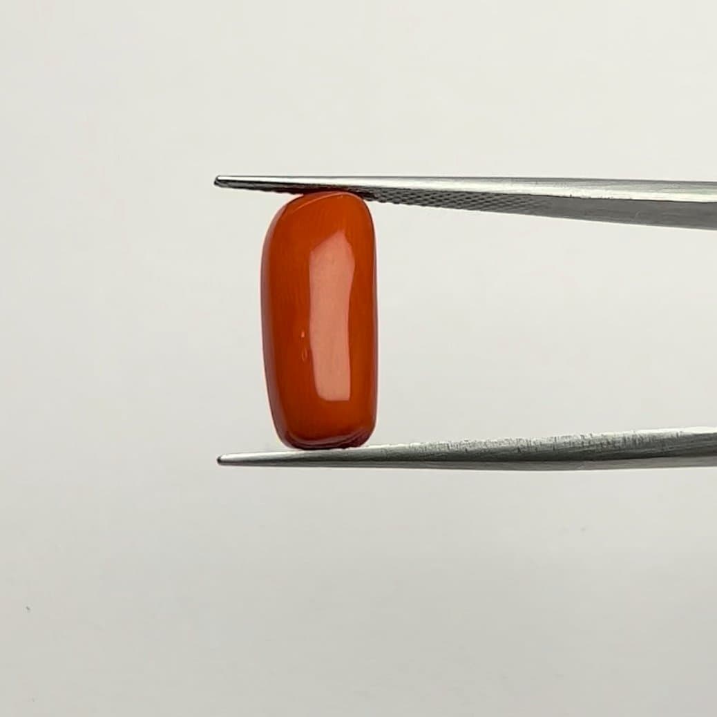Red Coral | 6.50 Ratti