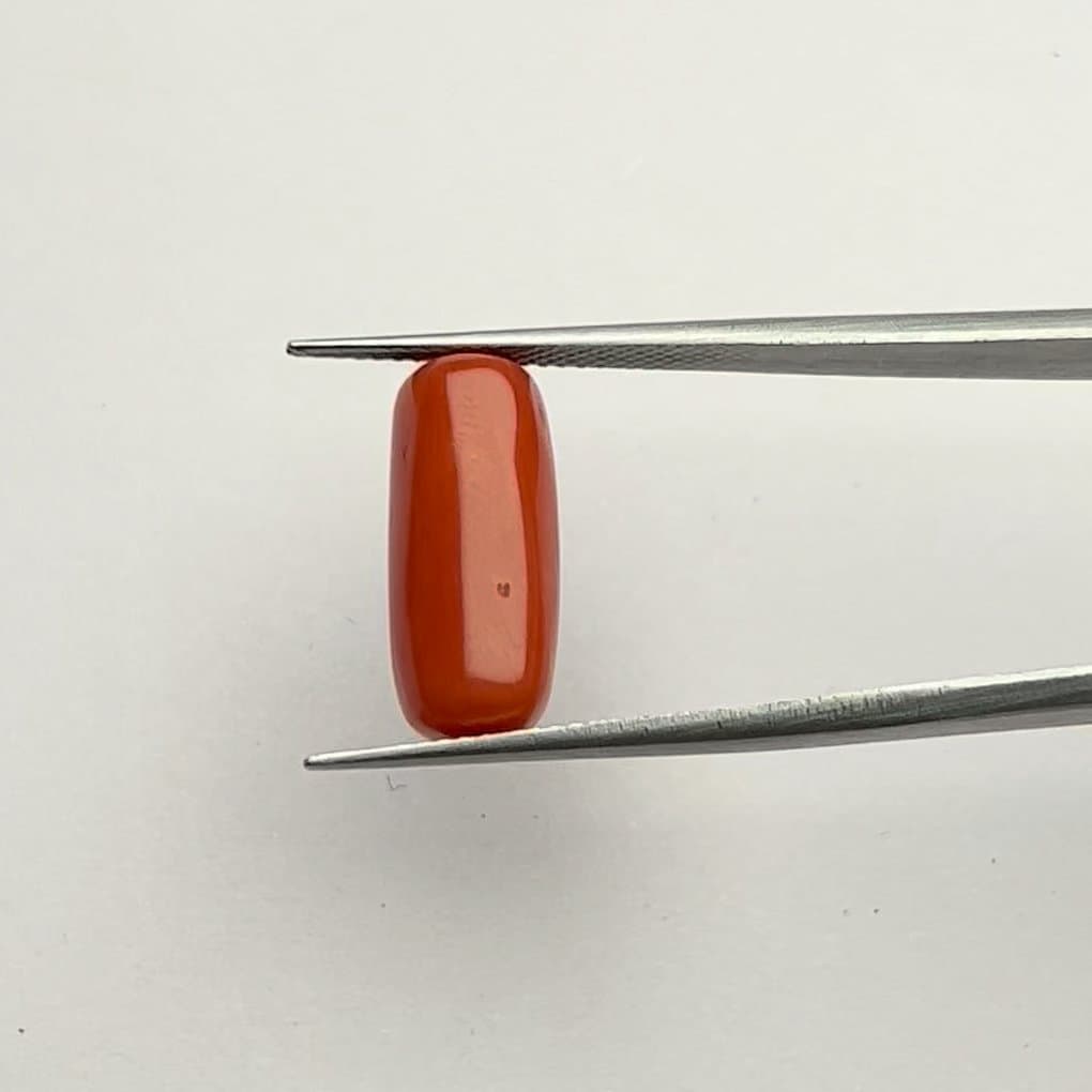 Red Coral | 7.50 Ratti