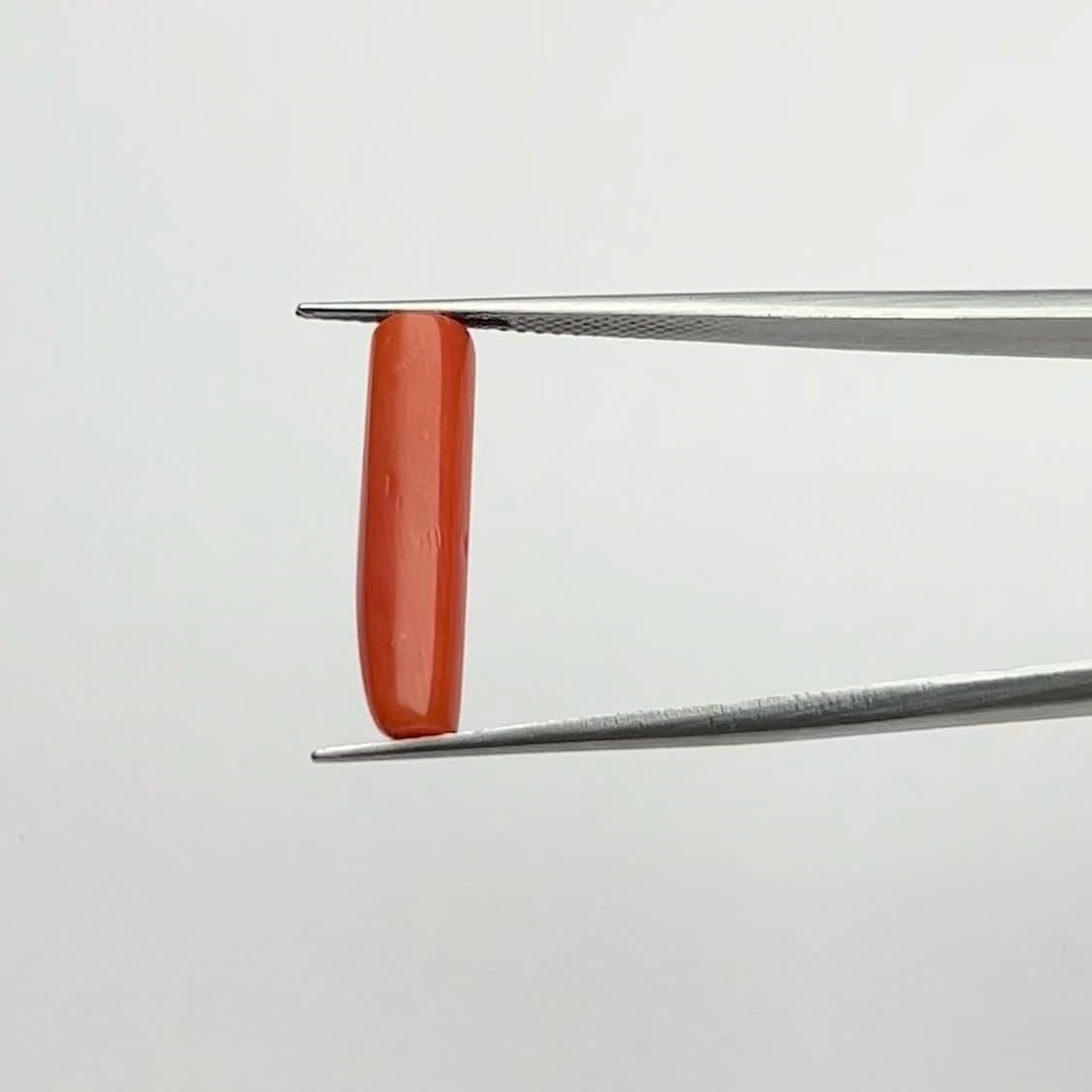 Red Coral | 5.25 Ratti