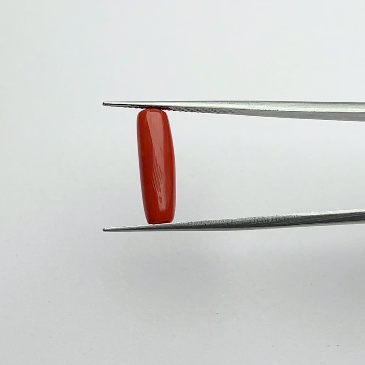 Red Coral | 5.00 Ratti