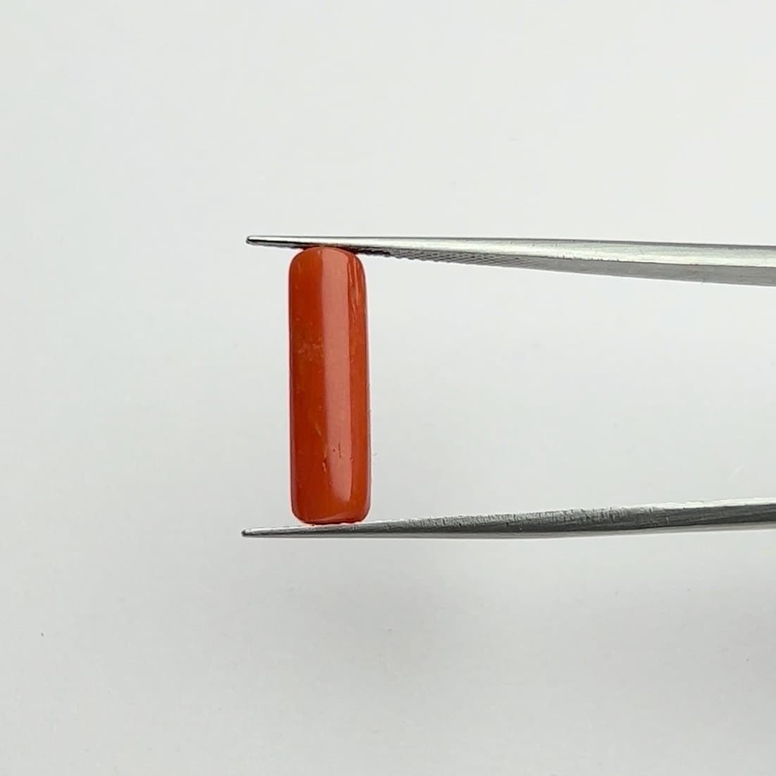 Red Coral | 5.00 Ratti