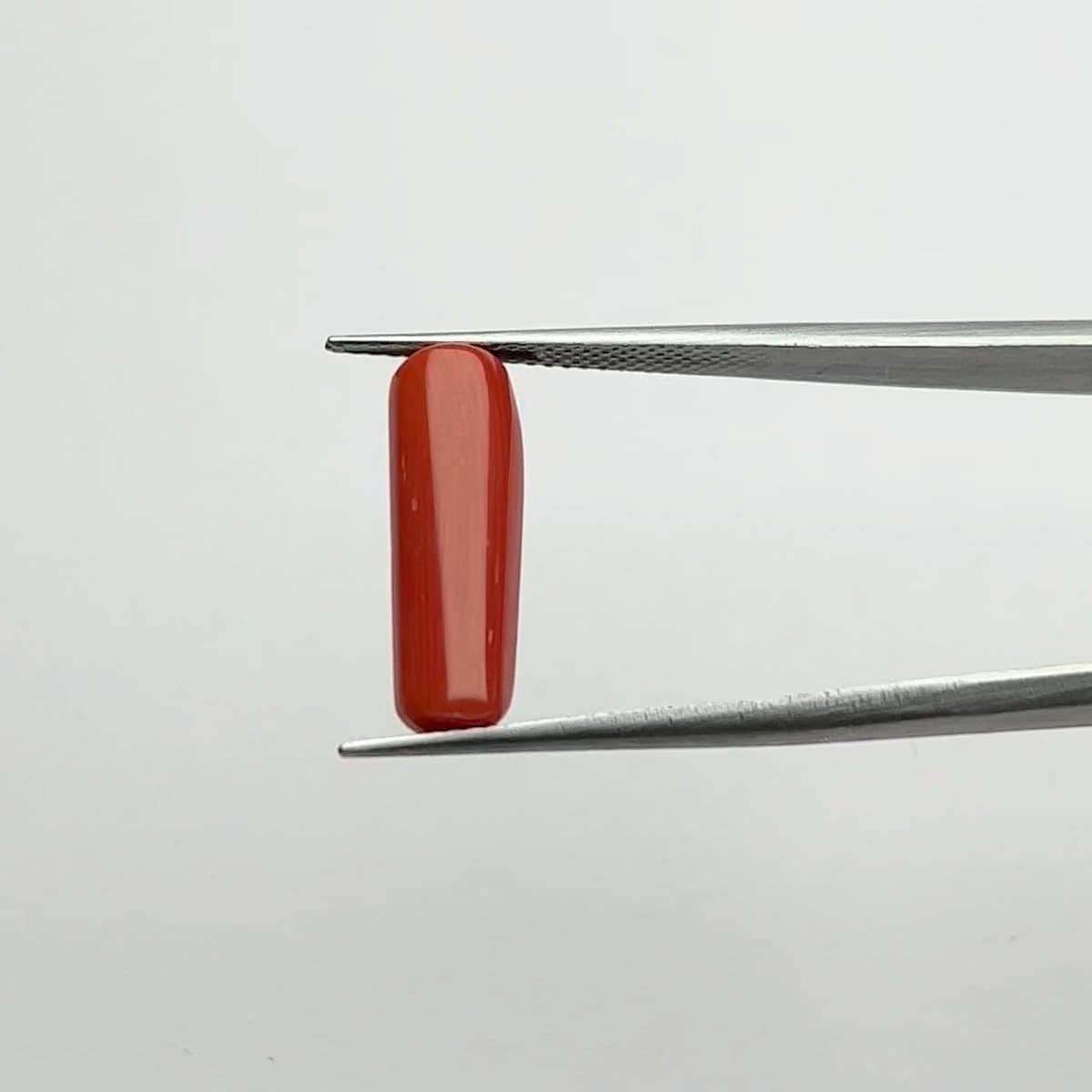 Red Coral | 5.25 Ratti