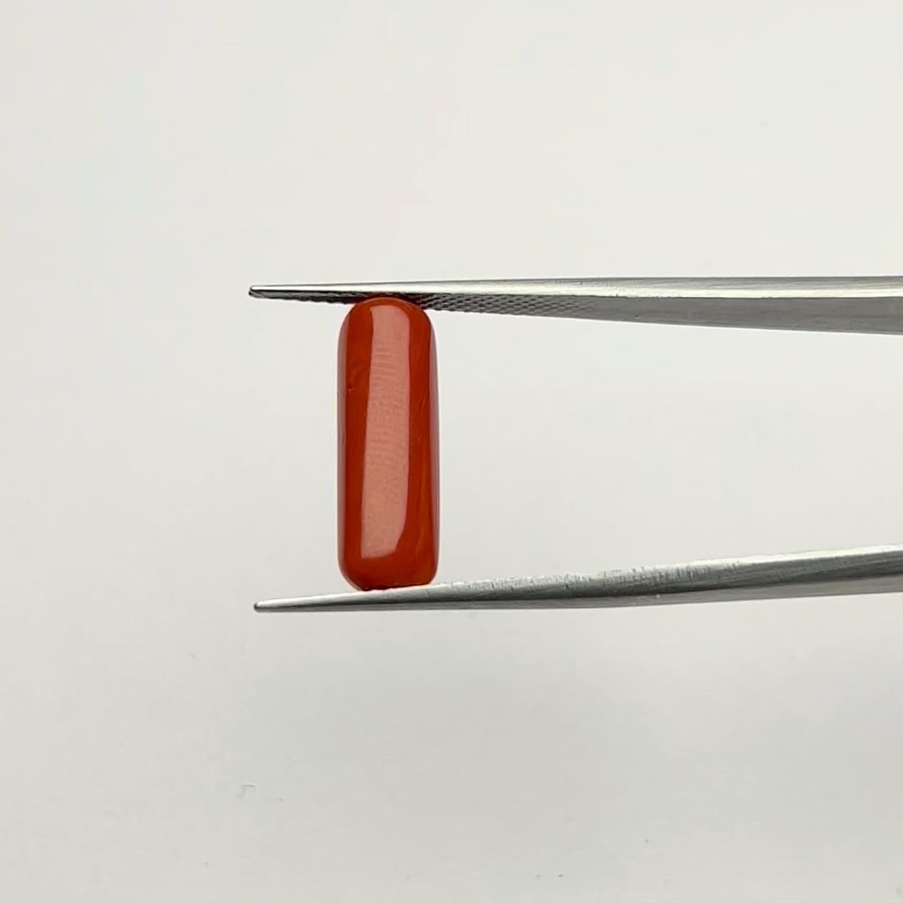 Red Coral | 6.00 Ratti