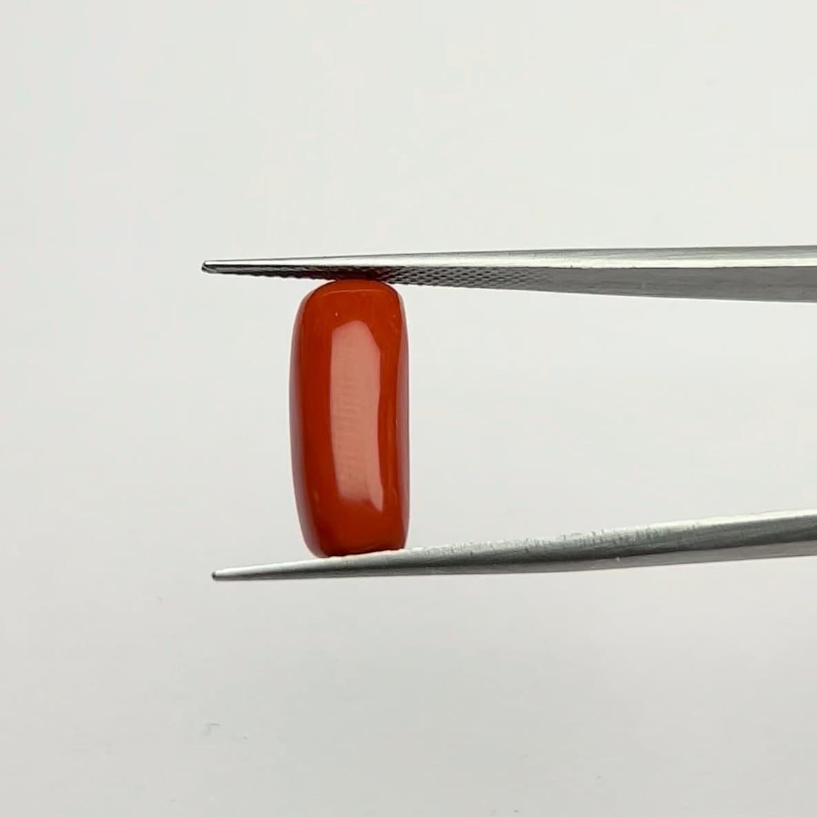 Red Coral | 7.00 Ratti