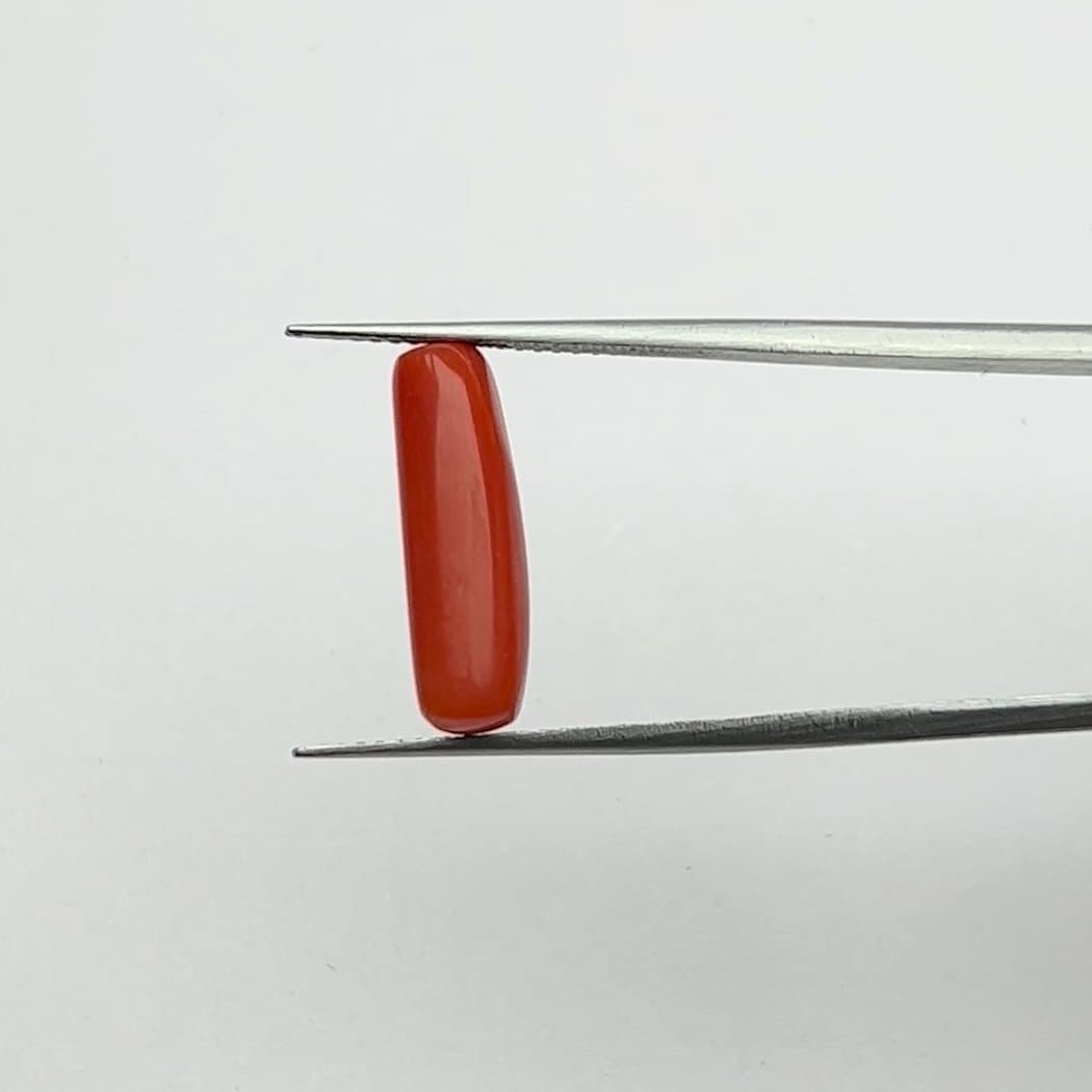 Red Coral | 5.00 Ratti