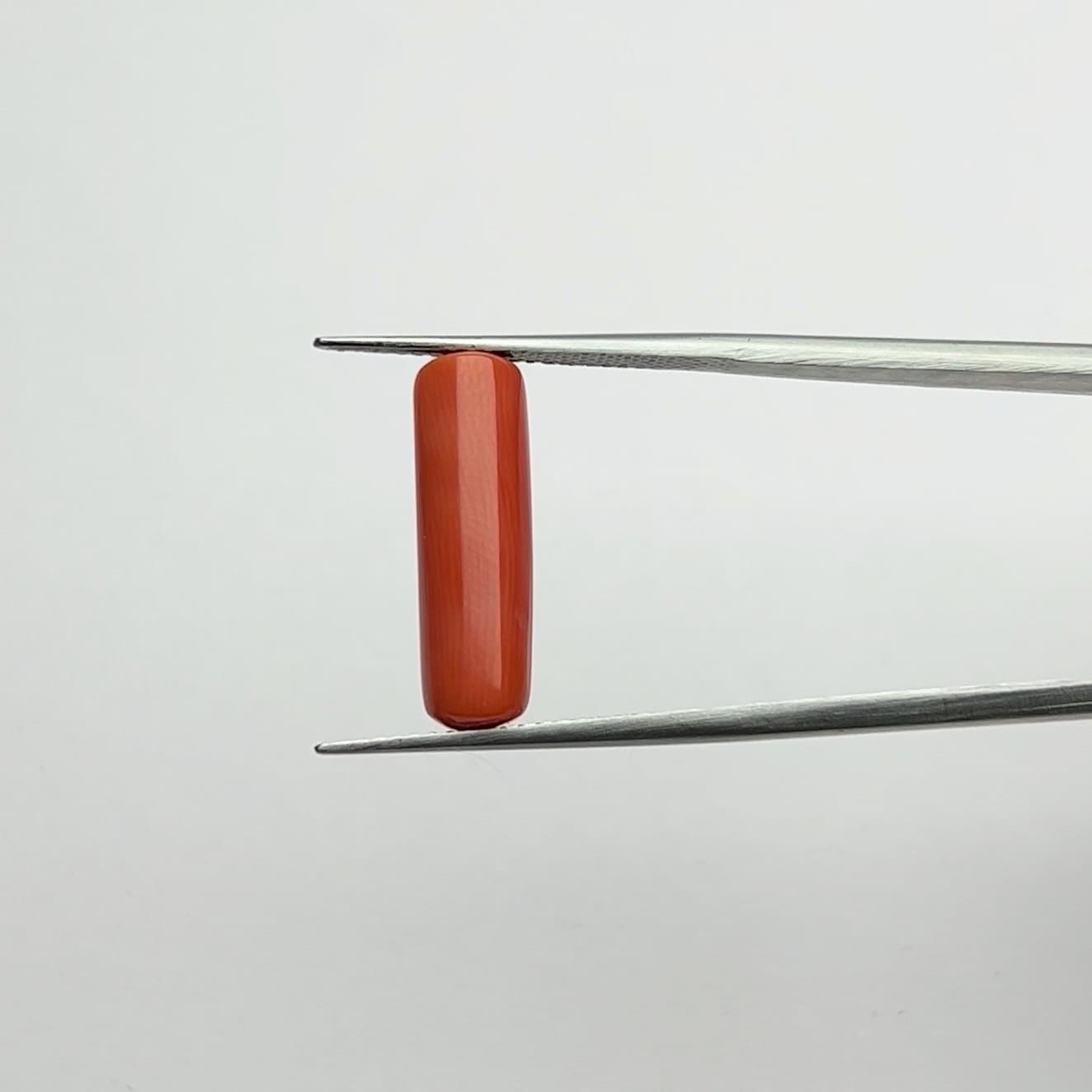 Red Coral | 5.50 Ratti