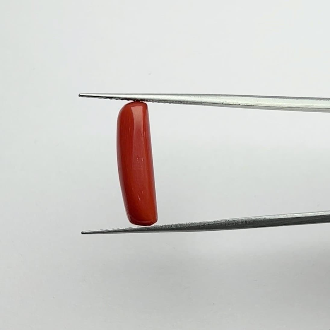 Red Coral | 5.50 Ratti