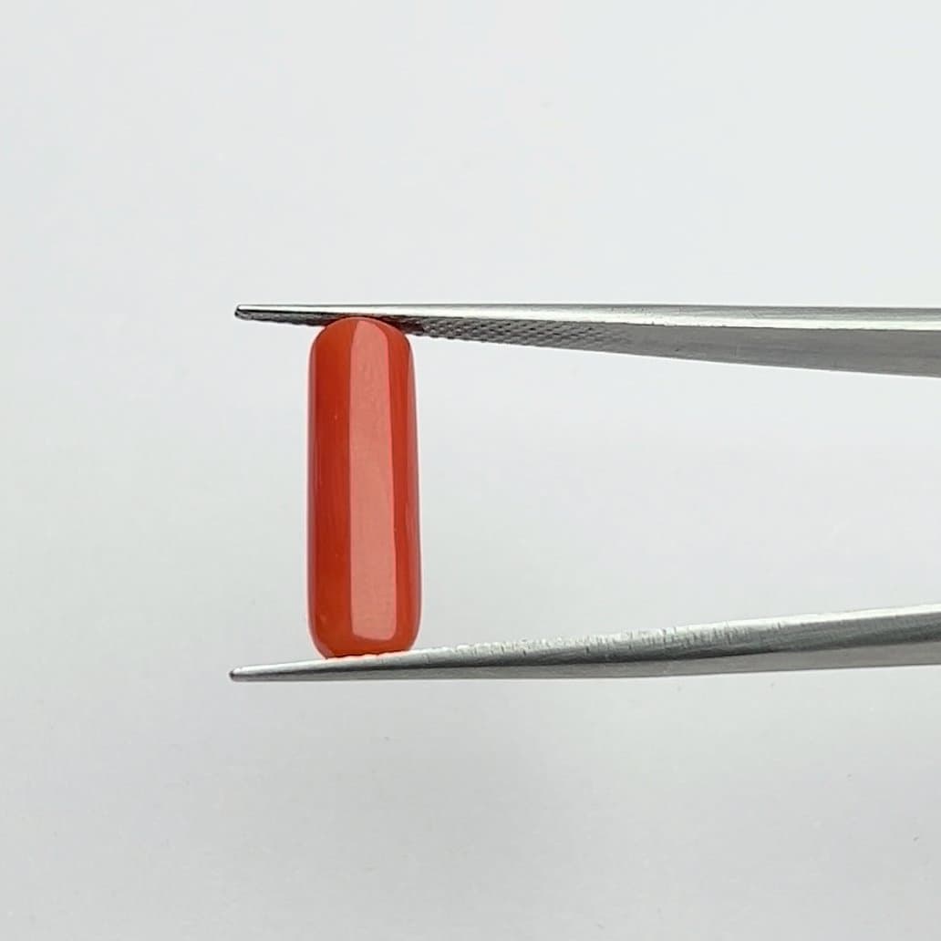 Red Coral | 5.00 Ratti