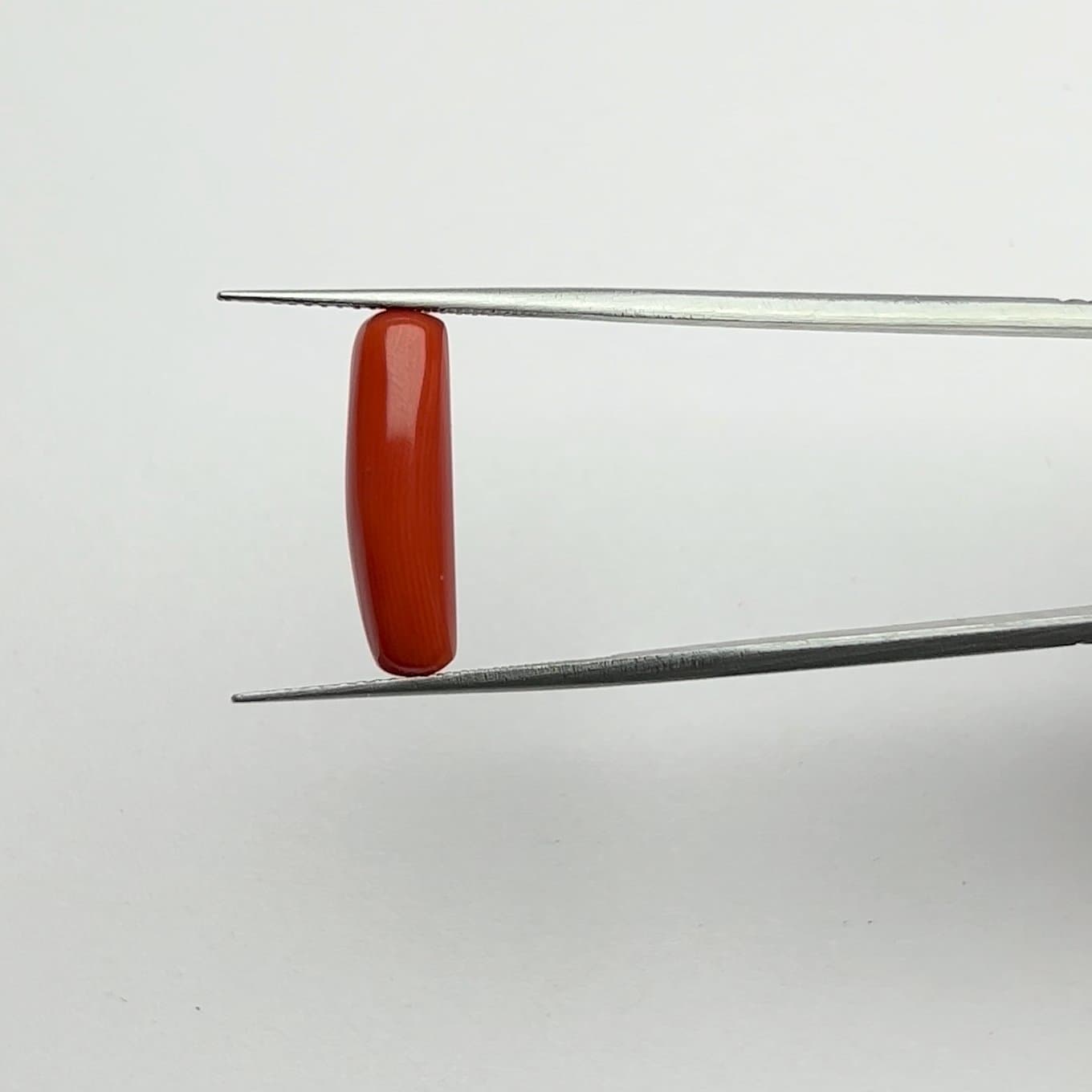 Red Coral | 5.50 Ratti