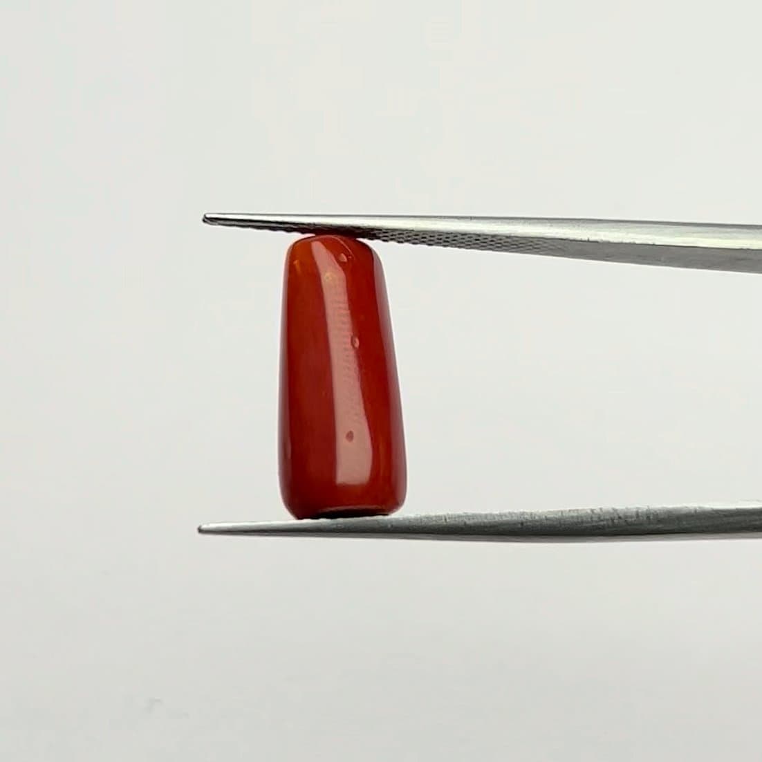 Red Coral | 7.00 Ratti