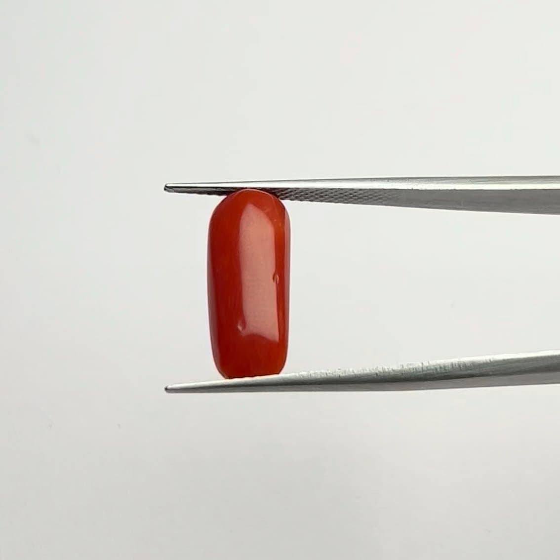 Red Coral | 6.50 Ratti