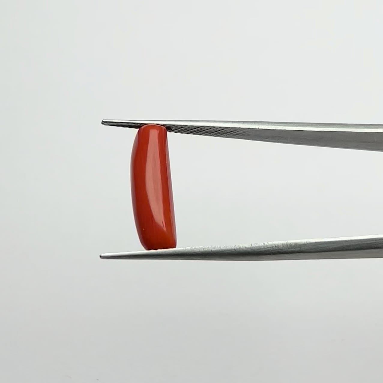 Red Coral | 5.50 Ratti