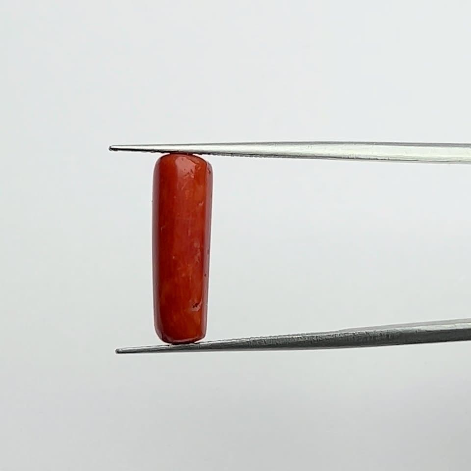 Red Coral | 5.50 Ratti