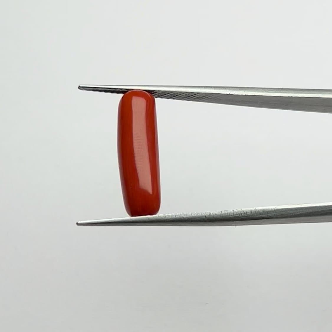 Red Coral | 5.50 Ratti