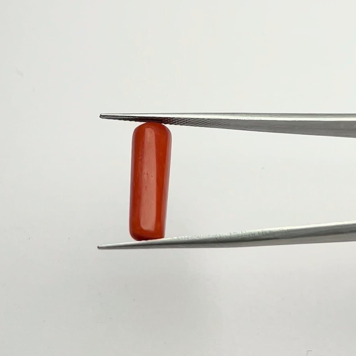 Red Coral | 7.50 Ratti