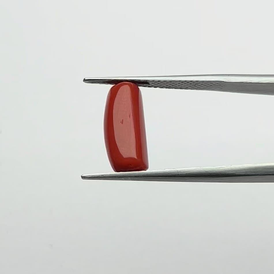 Red Coral | 5.00 Ratti
