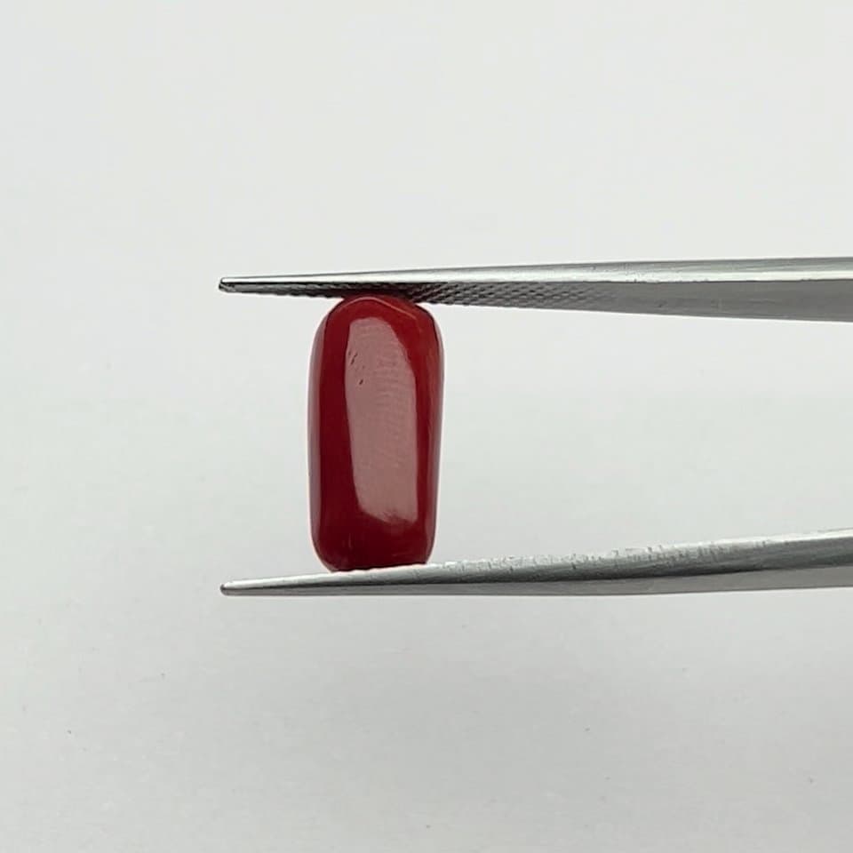 Red Coral | 6.50 Ratti
