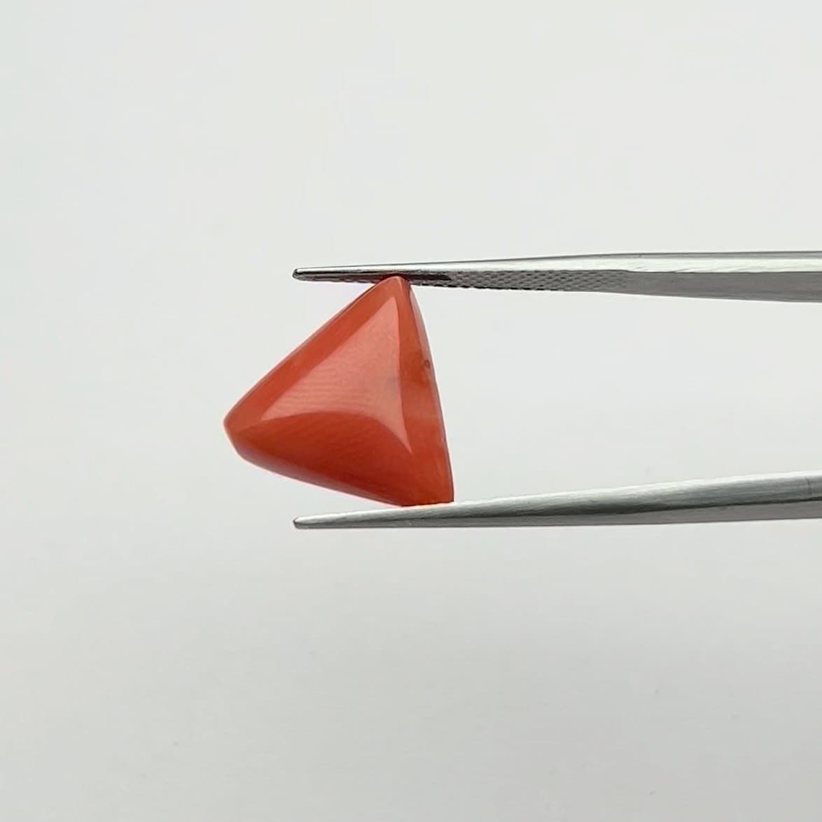 Red Coral | 8.50 Ratti