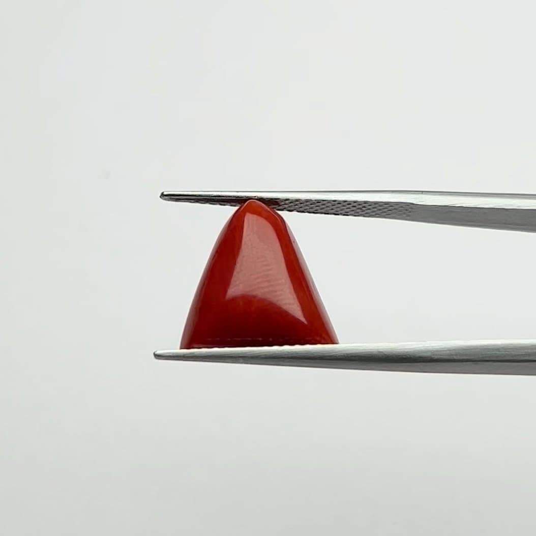 Red Coral | 6.50 Ratti