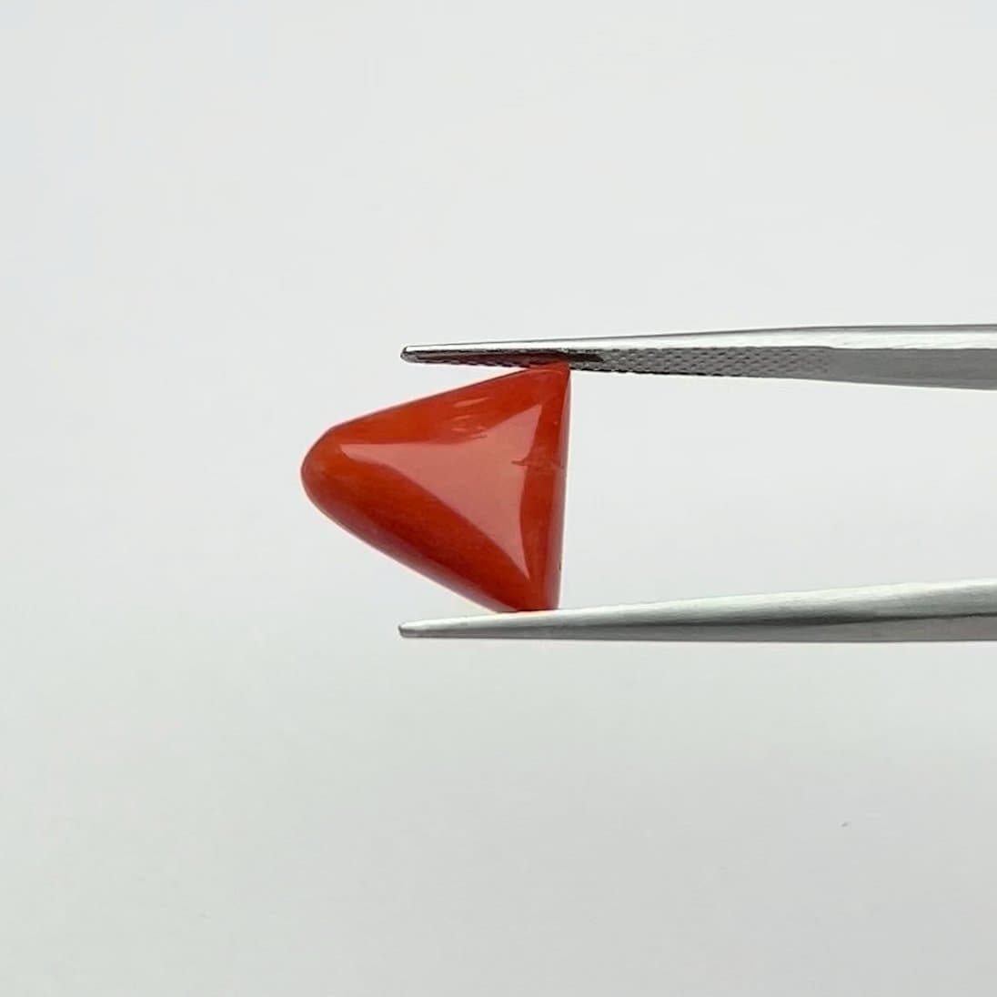 Red Coral | 7.50 Ratti