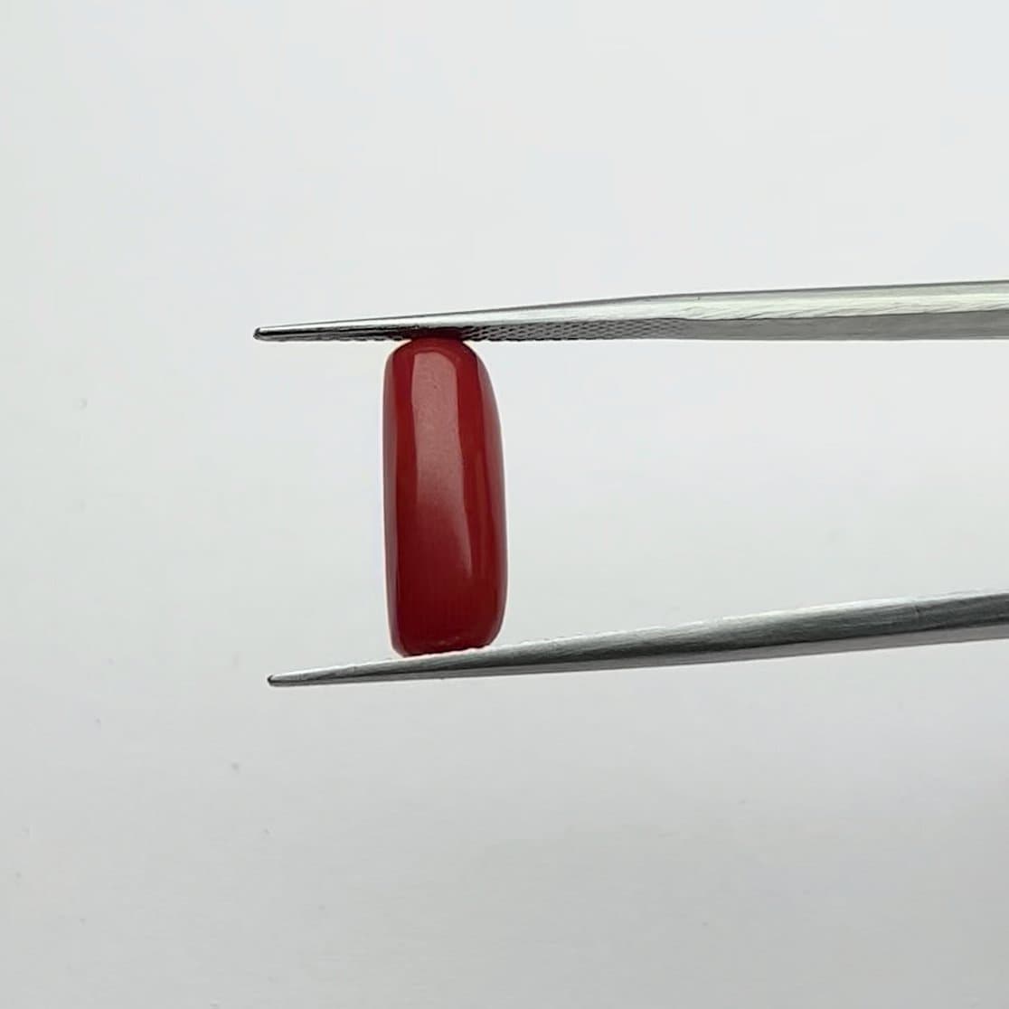 Red Coral | 5.00 Ratti