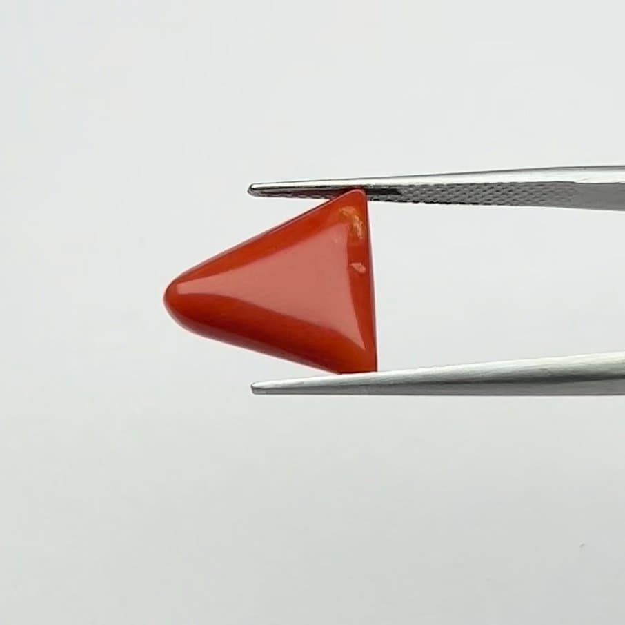 Red Coral | 6.50 Ratti