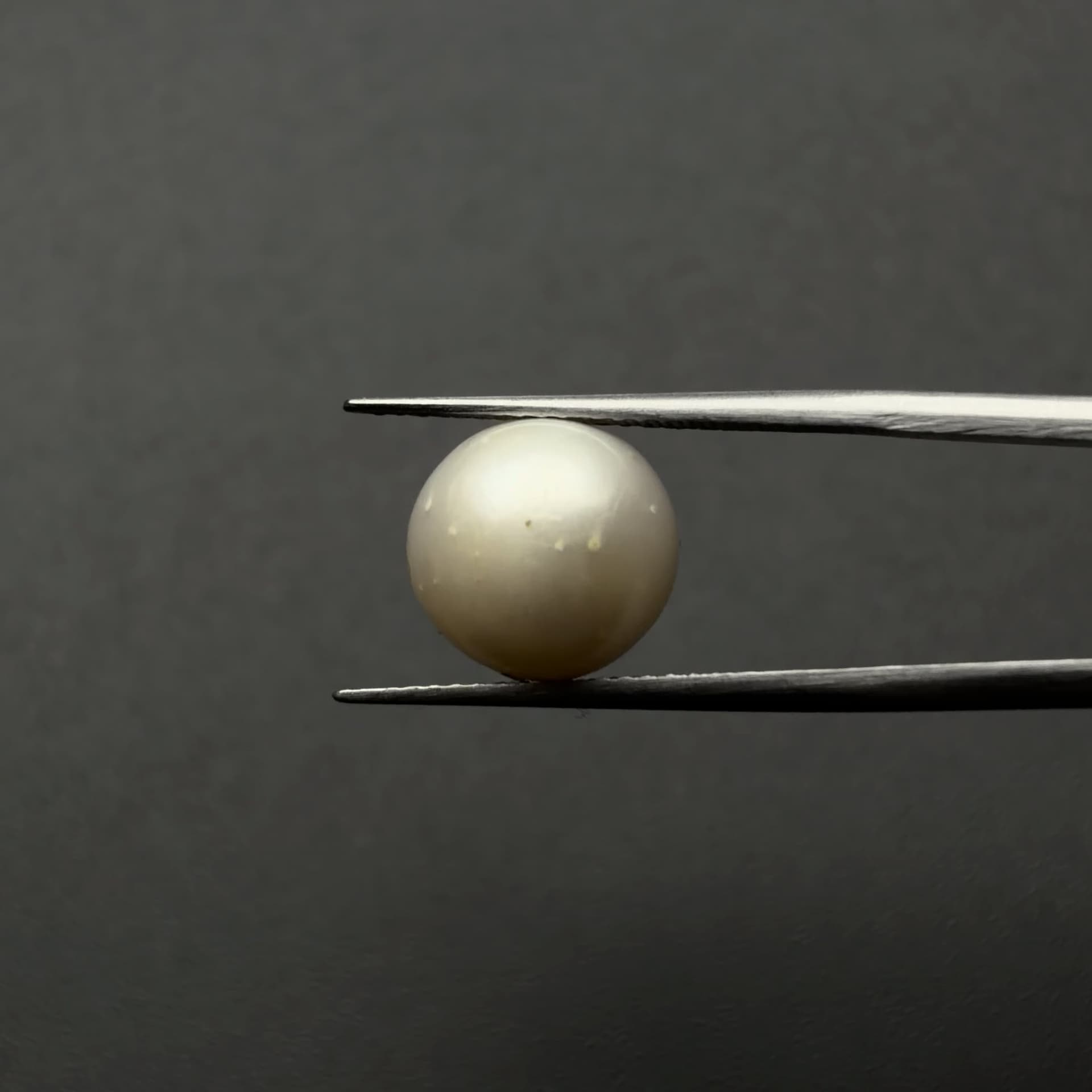 South Sea Pearl