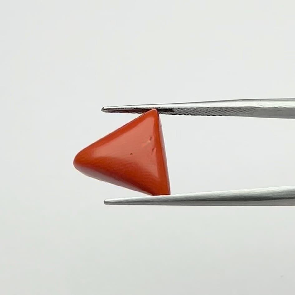 Red Coral | 6.50 Ratti