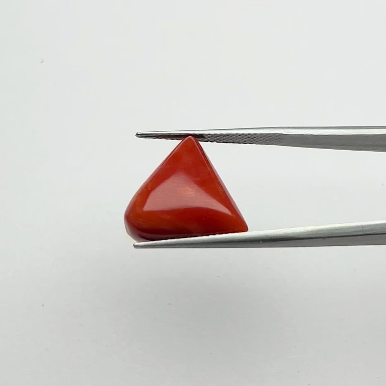 Red Coral | 13.25 Ratti