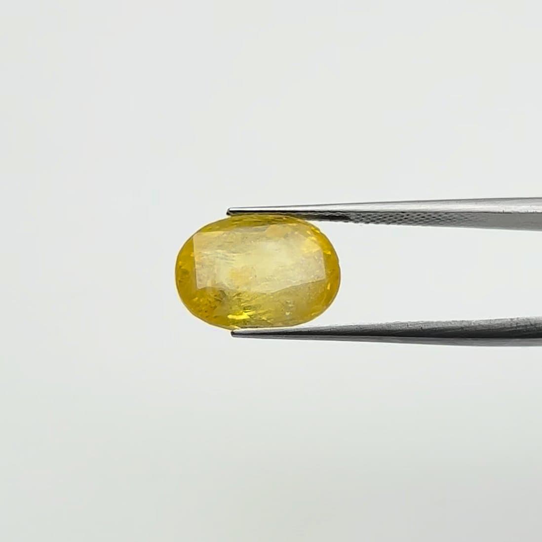 Yellow Sapphire | 8.50 Ratti