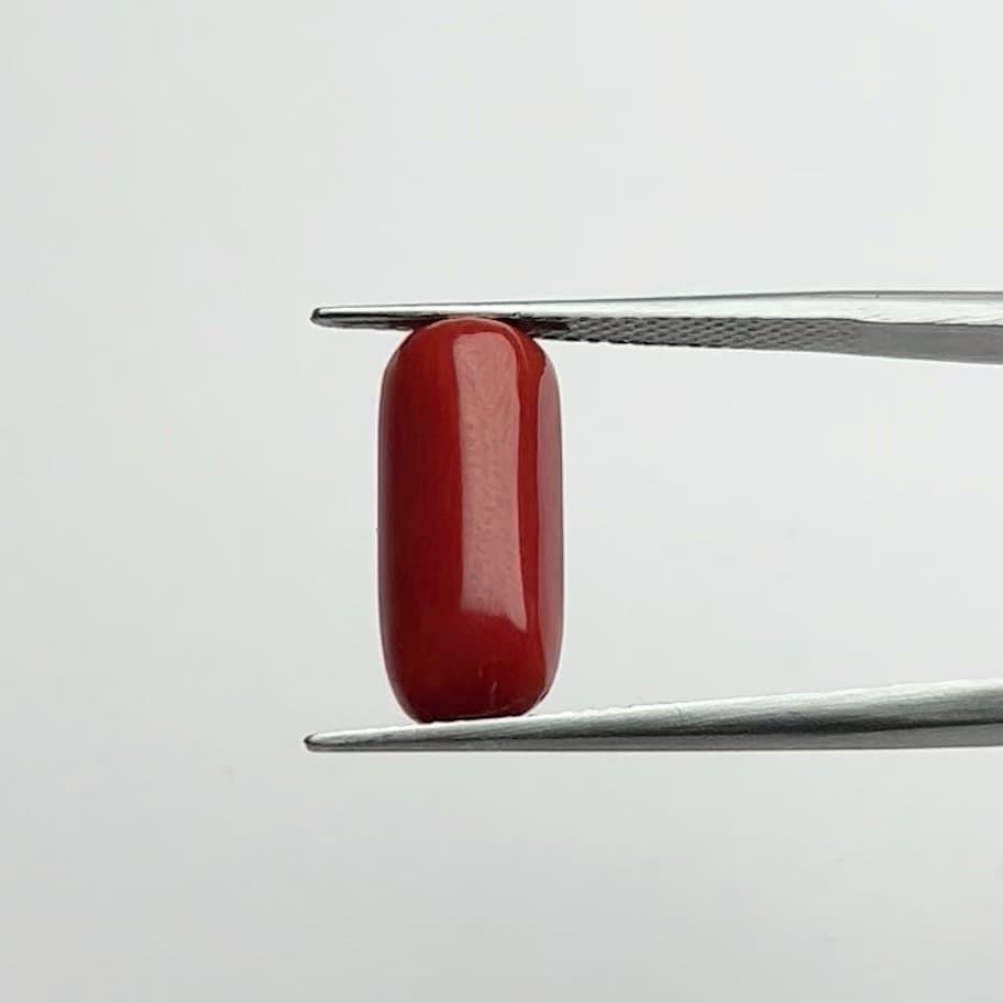 Red Coral | 6.50 Ratti