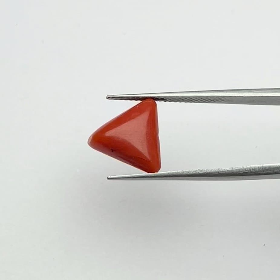 Red Coral | 5.00 Ratti