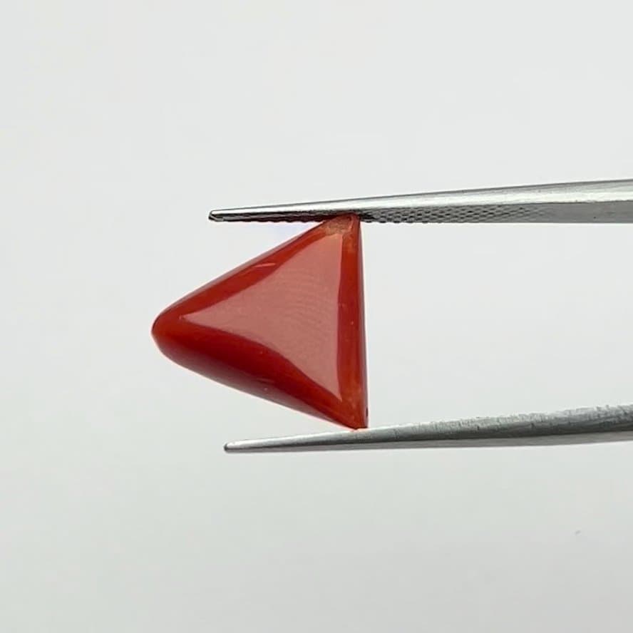 Red Coral | 7.00 Ratti
