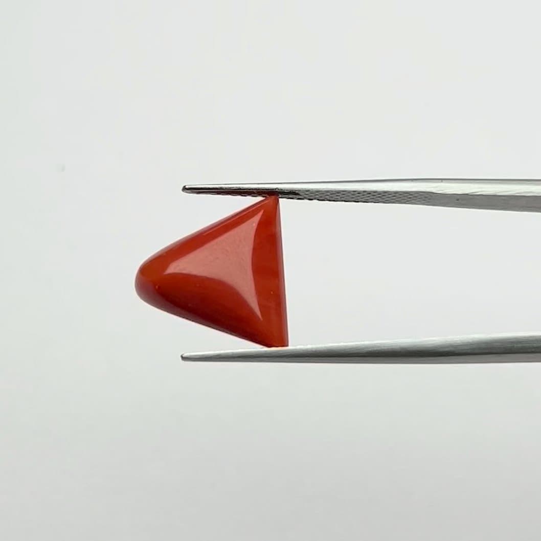 Red Coral | 6.00 Ratti
