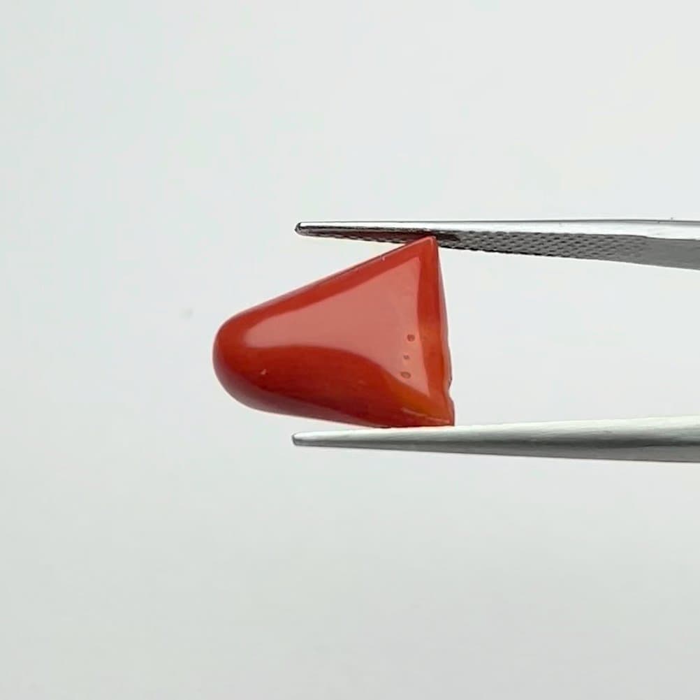 Red Coral | 8.00 Ratti