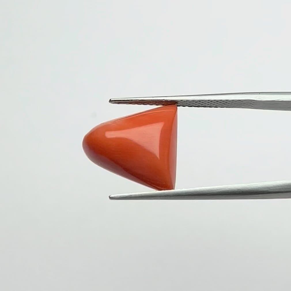Red Coral | 8.25 Ratti