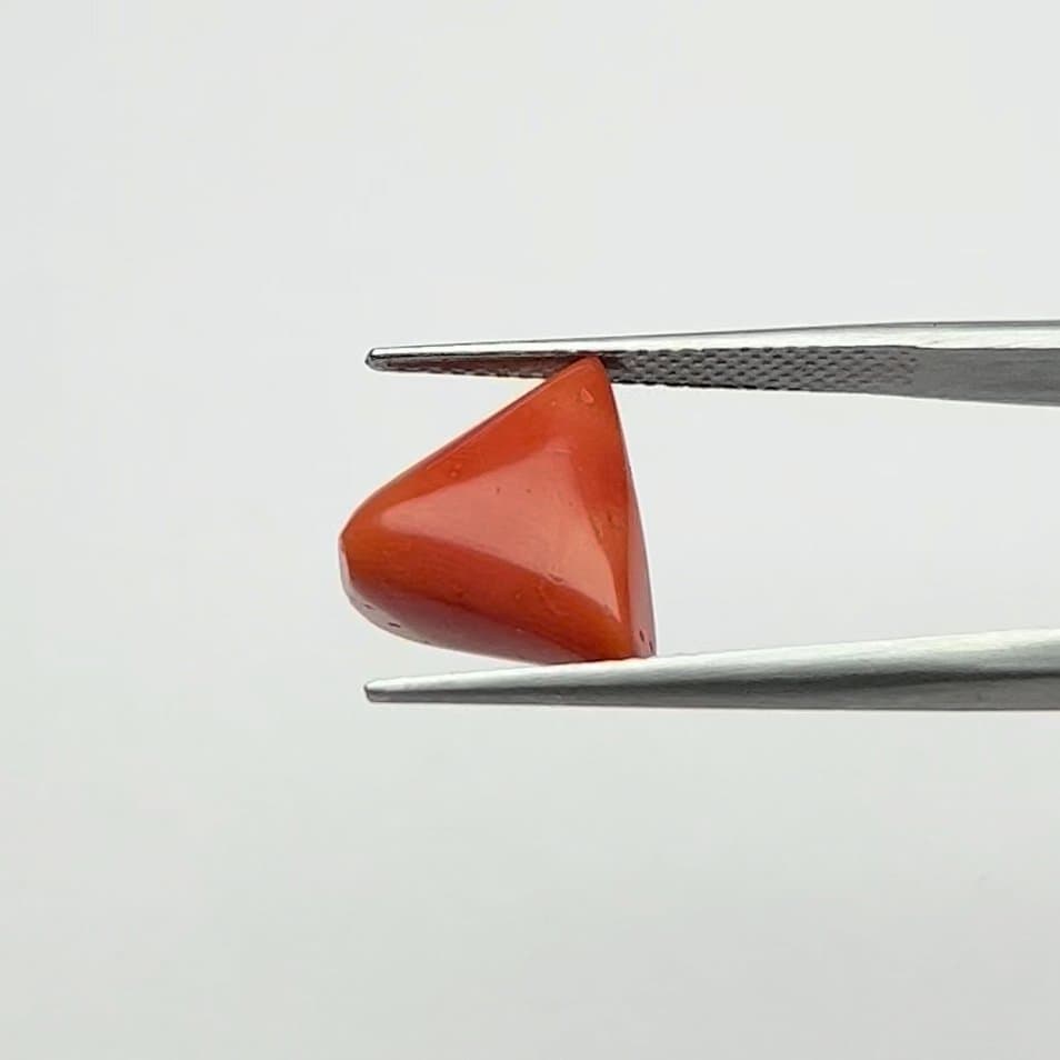 Red Coral | 6.50 Ratti