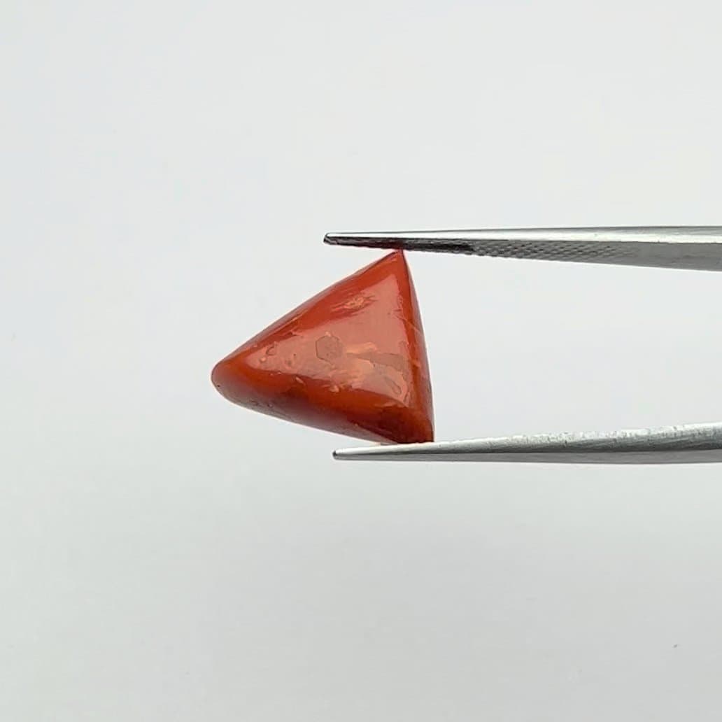 Red Coral | 8.50 Ratti