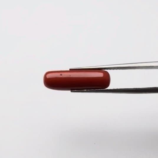 Red Coral | 5.25 Ratti