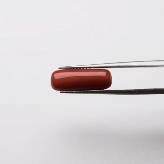 Red Coral | 5.00 Ratti