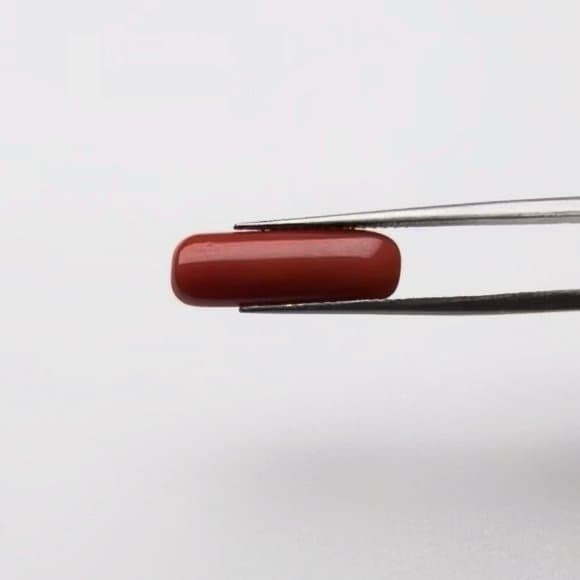 Red Coral | 5.00 Ratti