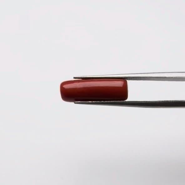 Red Coral | 5.00 Ratti