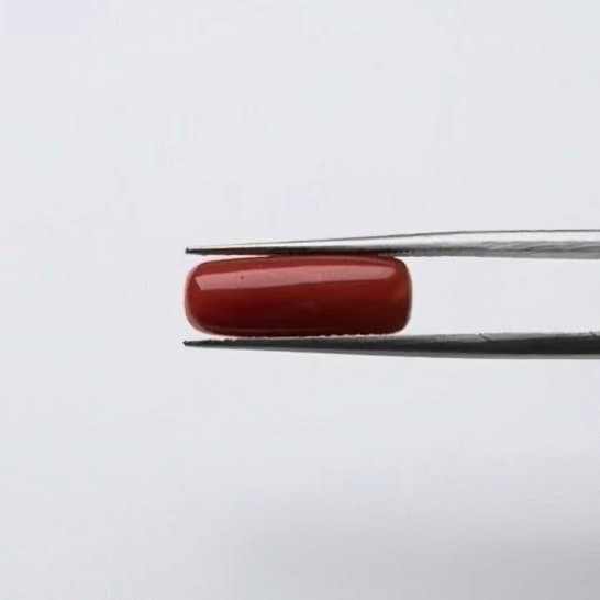 Red Coral | 5.00 Ratti